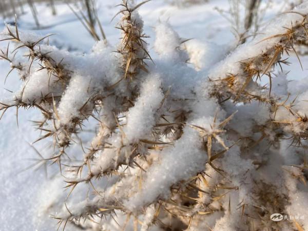 【北國風光&CenterDot;美麗民勤】雪落騰格里