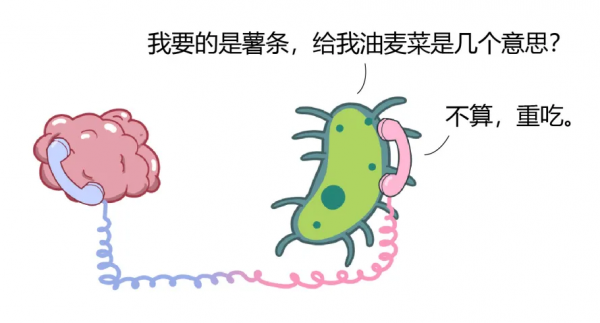 真的有易胖體質嗎？