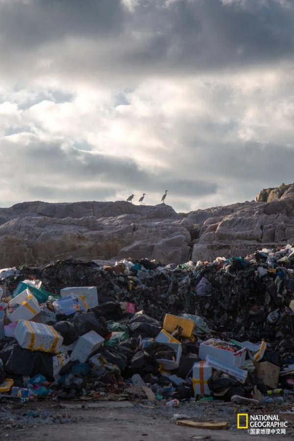 這座“海上的布達拉”,被他們淨化了 這座“海上的布達拉”,被他們淨化了