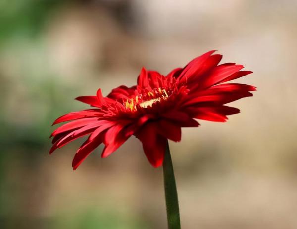 發朋友圈，要記得：遮蔽一些“重要”的人