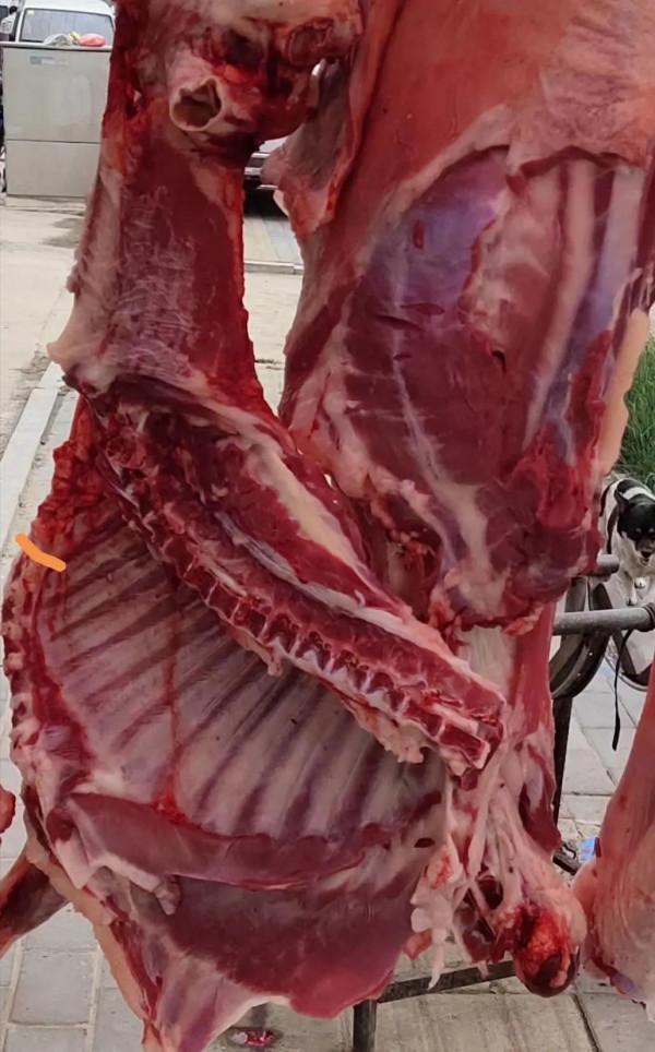 回老家看望父母，每次都是像“土匪”有一樣的嗎？