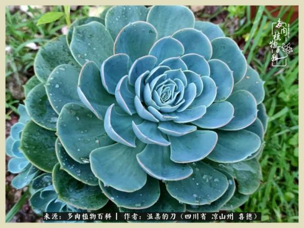 風吹過的夏天,你是仙子落凡間 風吹過的夏天,你是仙子落凡間