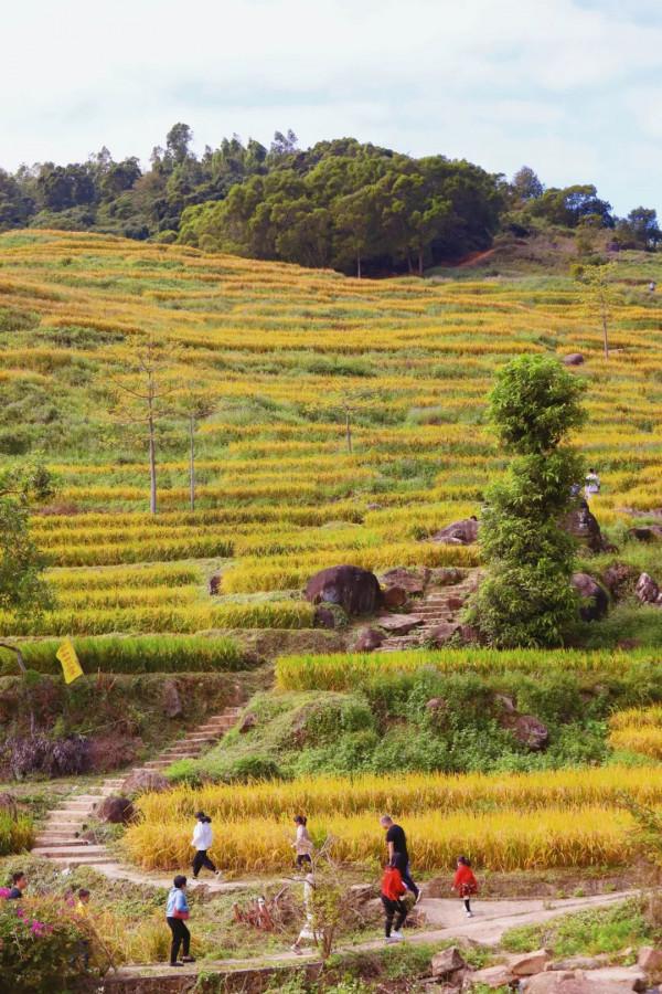 離深圳一小時，四個女人自駕看海之旅，這幾個小眾免費景點超讚