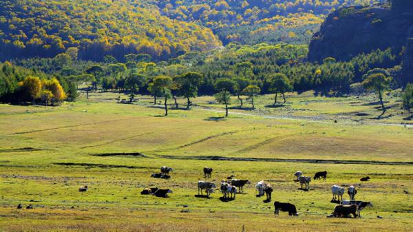 一樹一秋色，盤點那些“此生不可錯過”的塞上森林公園