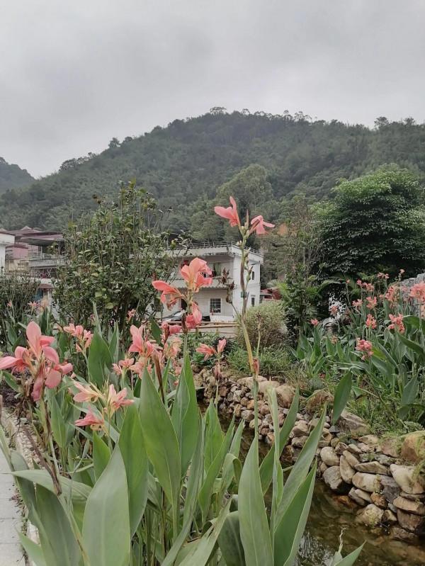 黃金溝風景區外面的一個小鎮 黃金溝風景區外面的一個小鎮