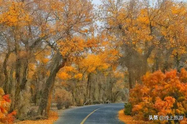 國慶中秋自駕遊，12條最美賞秋線路，看遍全國絕美秋色