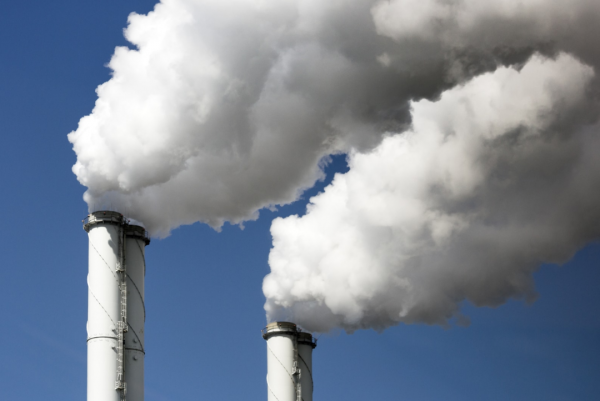 4900萬年前,紅萍曾“冰封地球”,如今能再次現身拯救人類嗎? 4900萬年前,紅萍曾“冰封地球”,如今能再次現身拯救人類嗎?