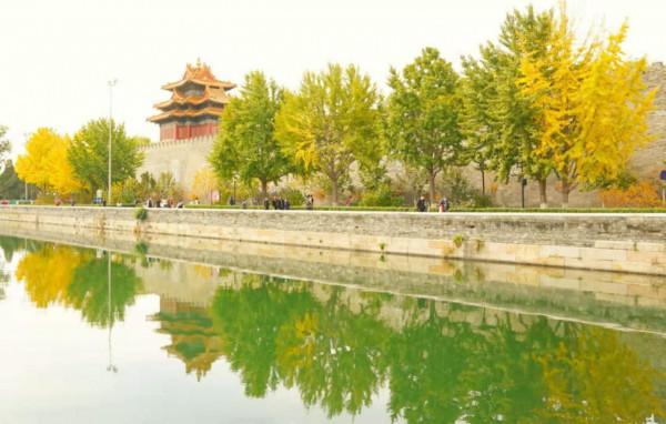 故宮彩葉飄舞,亮出最後的秋日盛裝 故宮彩葉飄舞,亮出最後的秋日盛裝