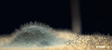 新家入住兩年，發現了這5個“先進設計”，照著裝準沒錯