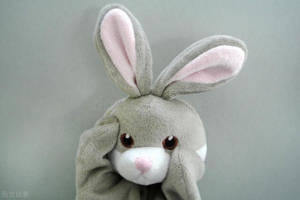 日本東京：大熊貓雙胞胎幼崽首次亮相，眾人直呼&OpenCurlyDoubleQuote;卡哇伊&rdquo;