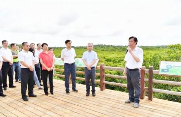 海南拆島困局:圍填海整改拉鋸戰 海南拆島困局:圍填海整改拉鋸戰