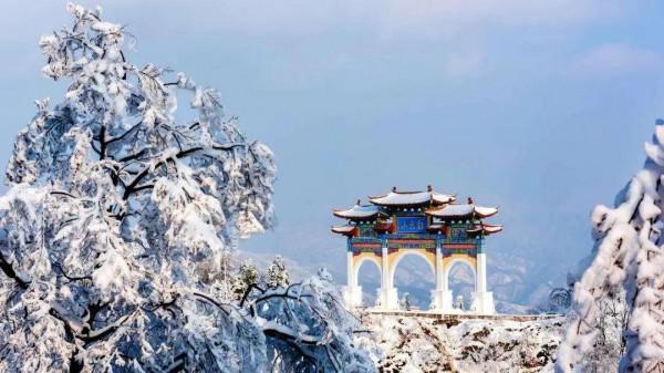 民間故事：男子樹林救下烏龜，大婚之夜烏龜託夢：上床睡覺別脫鞋