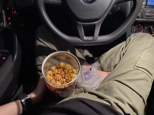 奔著體驗汽車影院而去，沒想到被周圍免費的環境吸引到了