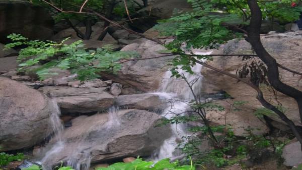 北京鳳凰嶺，風上水的地理優勢，使之享有京城&OpenCurlyDoubleQuote;綠肺&rdquo;之稱