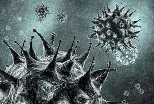 南極冰川融化，科學家發現了意外的東西，問題有多嚴重？