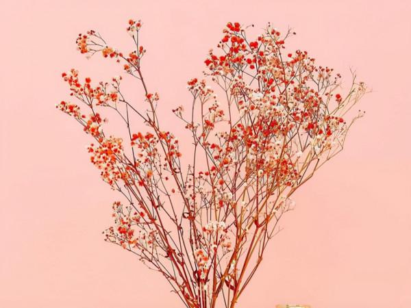 懂得順應局勢,如同黑馬的星座,看上去無慾無求,反而能為贏家 懂得順應局勢,如同黑馬的星座,看上去無慾無求,反而能為贏家