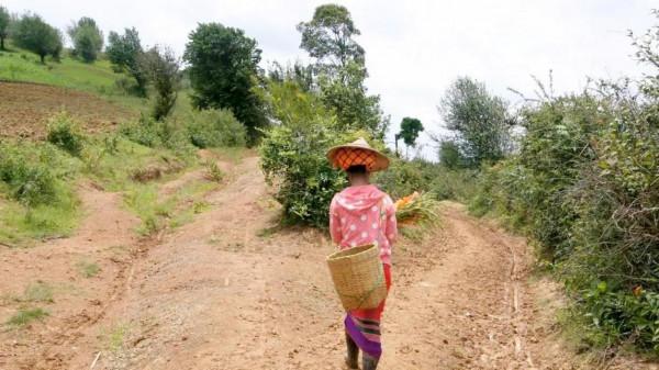 兩個女教師在緬甸偏遠農村的兩天一晚:缺電少水路難走,以為穿越 兩個女教師在緬甸偏遠農村的兩天一晚:缺電少水路難走,以為穿越
