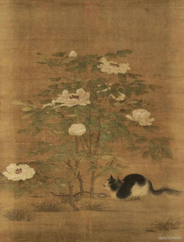 實在太多了，大家抱走一隻吧——貓