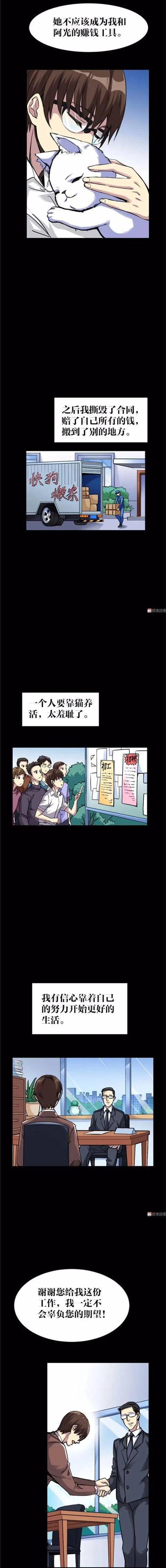 漫畫｜人性篇：會做飯的網紅貓咪