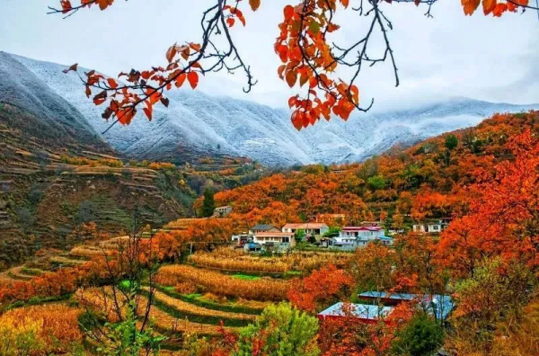 紅葉最佳觀賞期！這些地方全都美成了仙境，趕緊出發