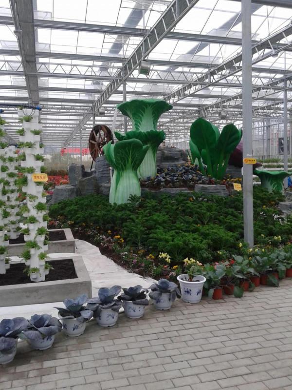 五彩田園，美麗的田園