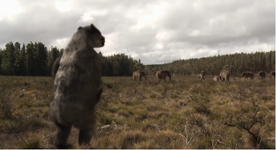 史前動物廣翅鱟：專吃海洋“浮屍”，4億年前最先登陸地面的動物