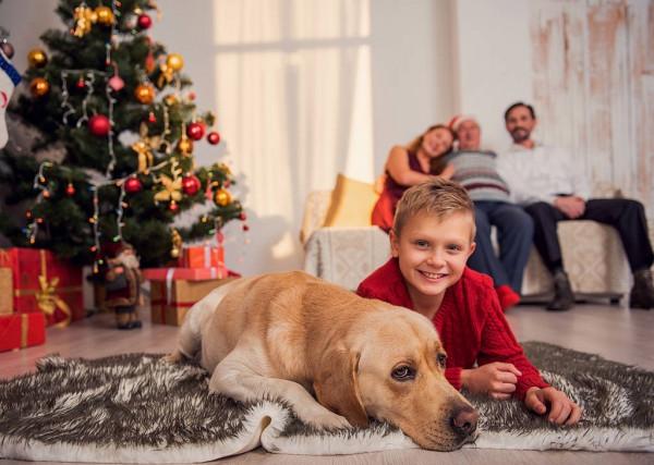 人類幼崽與貓狗能同時養嗎？