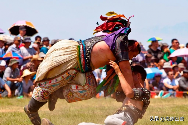 別小看胖子！功夫熊貓聽過沒？他血洗賽場，揚威海外