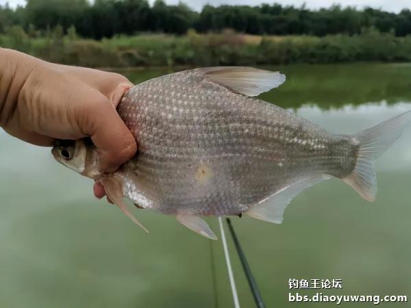 山塘戲馬口,驚喜真的有 山塘戲馬口,驚喜真的有