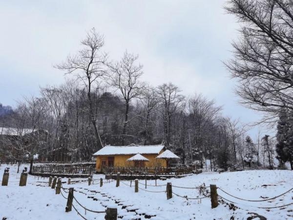 春雪紛飛染冬色 黔地皚皚似北國