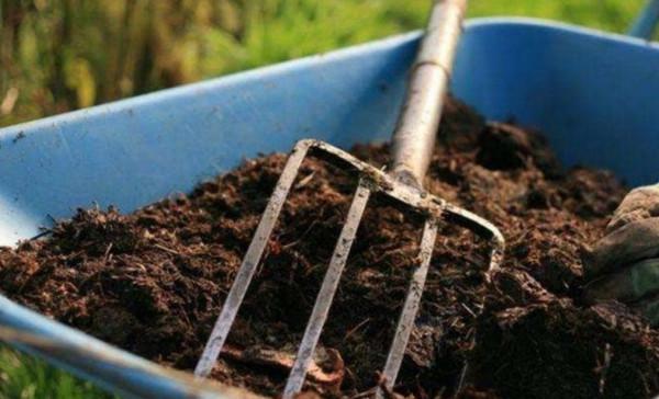 花土不用買，用3種“腐殖土”，鬆軟肥沃，養啥花都旺