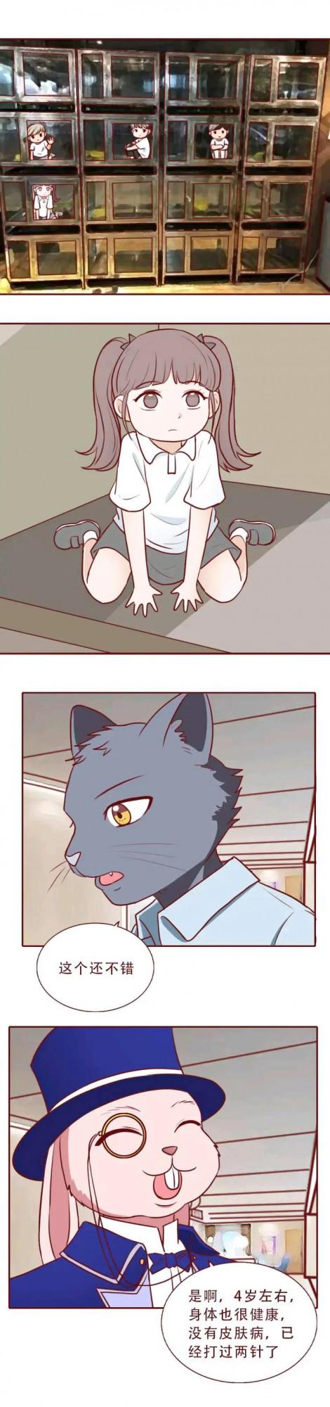 漫畫:一位4歲小女孩被改造成賺錢的工具 漫畫:一位4歲小女孩被改造成賺錢的工具