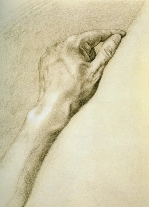 朝戈素描作品欣賞 朝戈素描作品欣賞