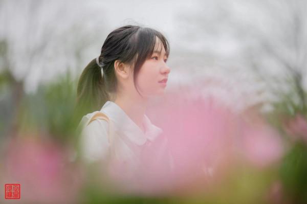 葉綠花紅處處詩——友文薈萃