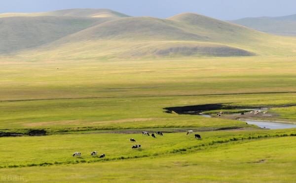 圖片分享一一乎倫貝爾大草原美景