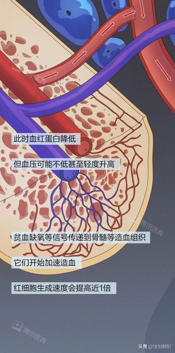 人止不住的大出血，到底有多可怕？