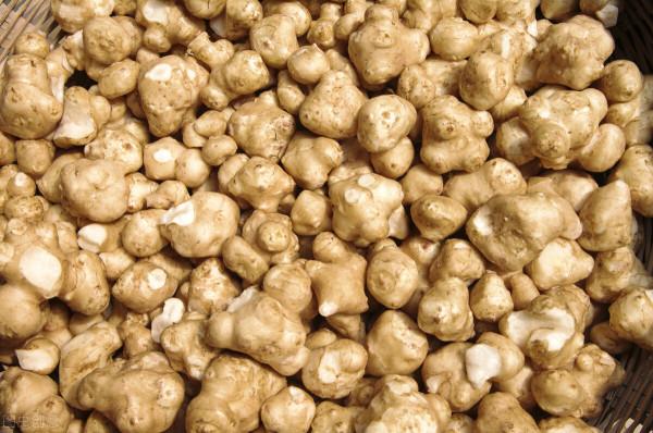 這些菜被叫“懶人菜”,種一次可以吃幾年,簡單好養活 這些菜被叫“懶人菜”,種一次可以吃幾年,簡單好養活