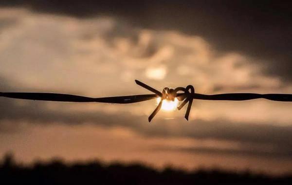 賈平生《暫生》忽有故人心上過，匆匆一過又是秋