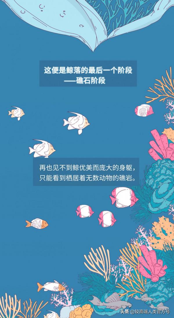 不久前，我目睹了世上最悲壯的死亡