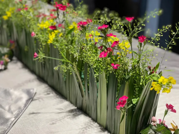 草木惠,引領康養度假定製年代 草木惠,引領康養度假定製年代