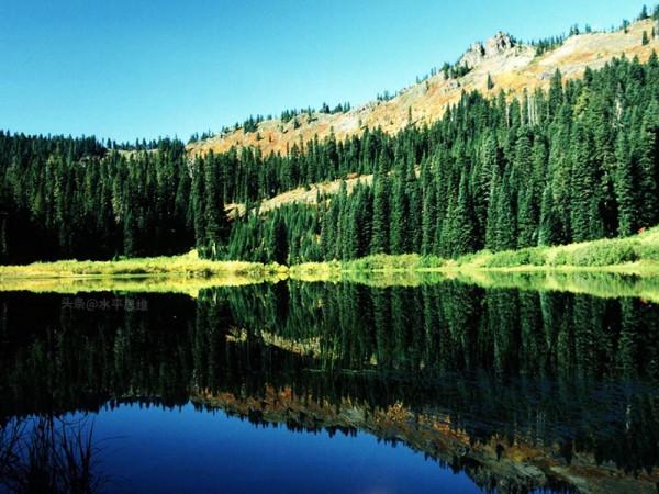 開國第一刀！毛主席科學的預見性和高度原則性結合思維藝術研究