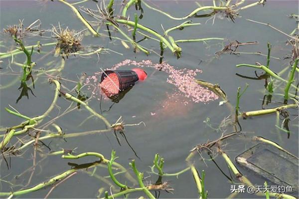 冬季釣魚，不要一到水邊就下竿，牢記這4個法則，天再冷都能爆護