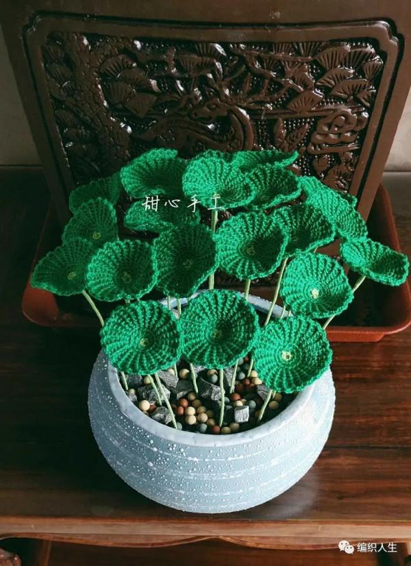 不用澆水施肥的盆栽吧！模擬微鉤銅錢草