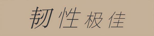 微岩石,大道至簡的自然美 微岩石,大道至簡的自然美
