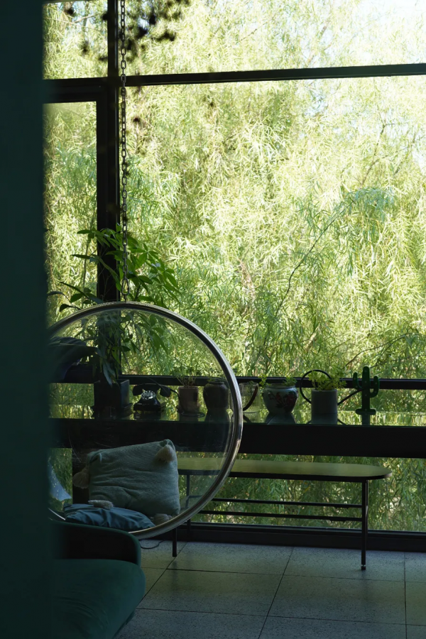 千年運河旁,4個80後閨蜜把花園搬進房子,打造閨蜜版的愛情公寓 千年運河旁,4個80後閨蜜把花園搬進房子,打造閨蜜版的愛情公寓