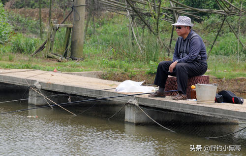 冬季在這幾種情況下垂釣,漁獲好簡直易如反掌 冬季在這幾種情況下垂釣,漁獲好簡直易如反掌