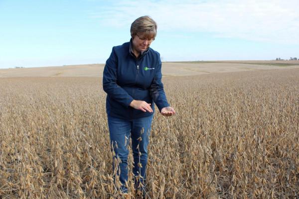 美國的大豆一畝能產多少斤？和中國相比，能高出多少斤？