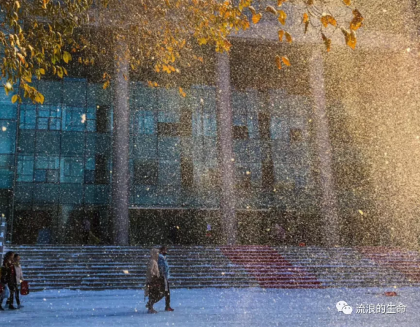 愛過的新疆,玩過的成都 愛過的新疆,玩過的成都