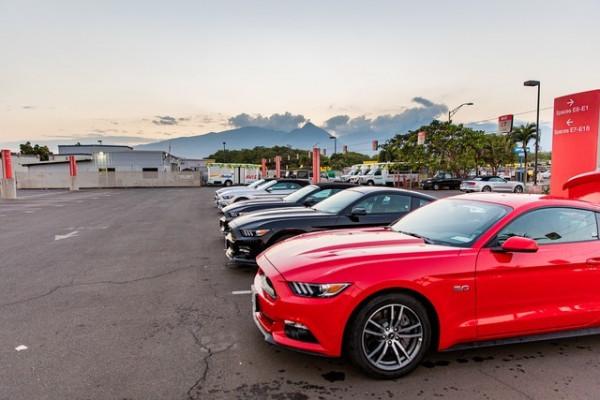 車型要對 提車還車要會 十一租車自駕遊攻略