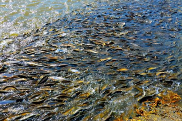 落日斜波暮水明 盤點塞上壯美湖泊秋色